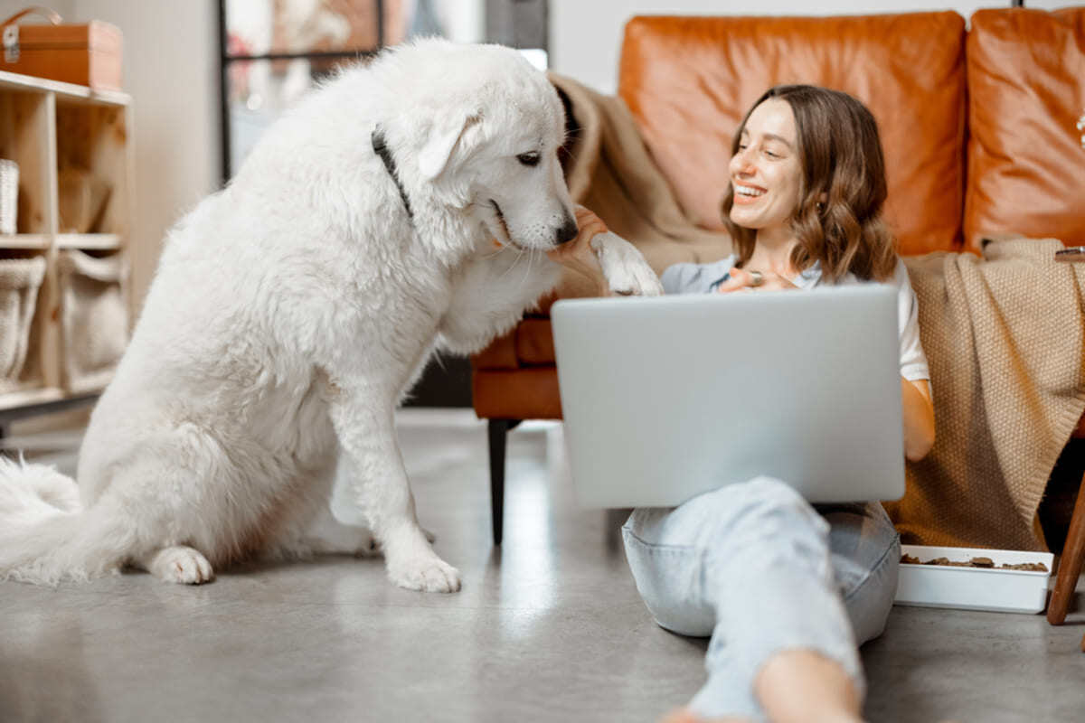 A tenant sitting working on her laptop and hugging her dog, landlord pet policy concept